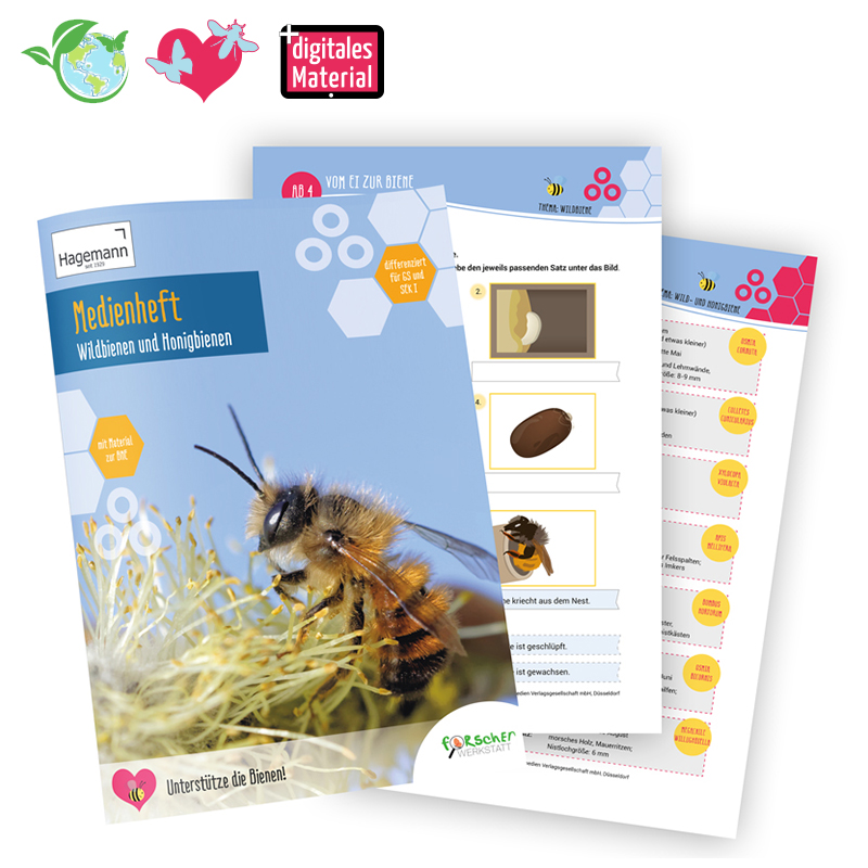 Medienheft Wildbienen und Honigbienen