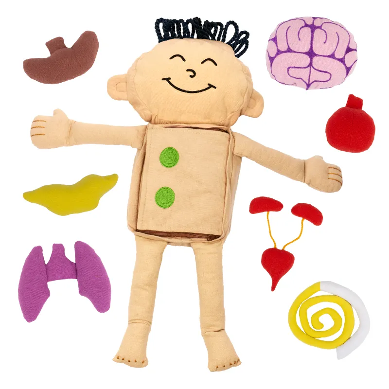 Hagemann Forscherpuppe Mein Körper