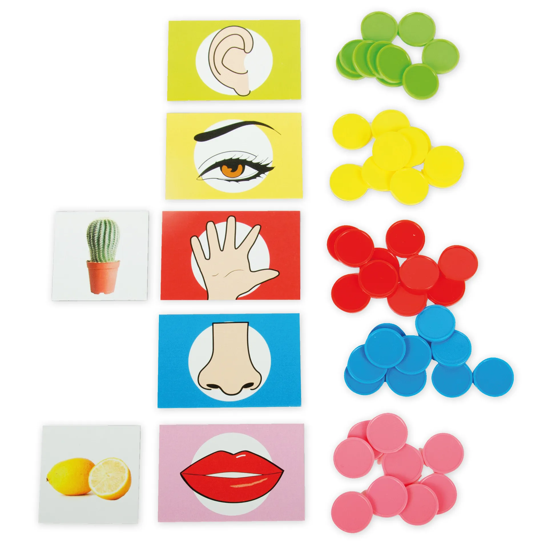 Lernspiel "Wecke deine Sinne", 101-tlg.