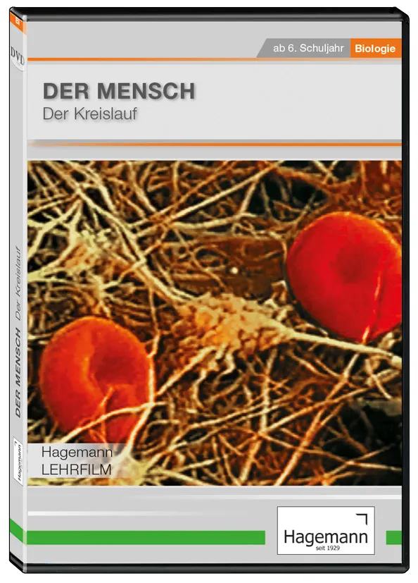 DVD-Lehrfilm Der Mensch: Der Kreislauf