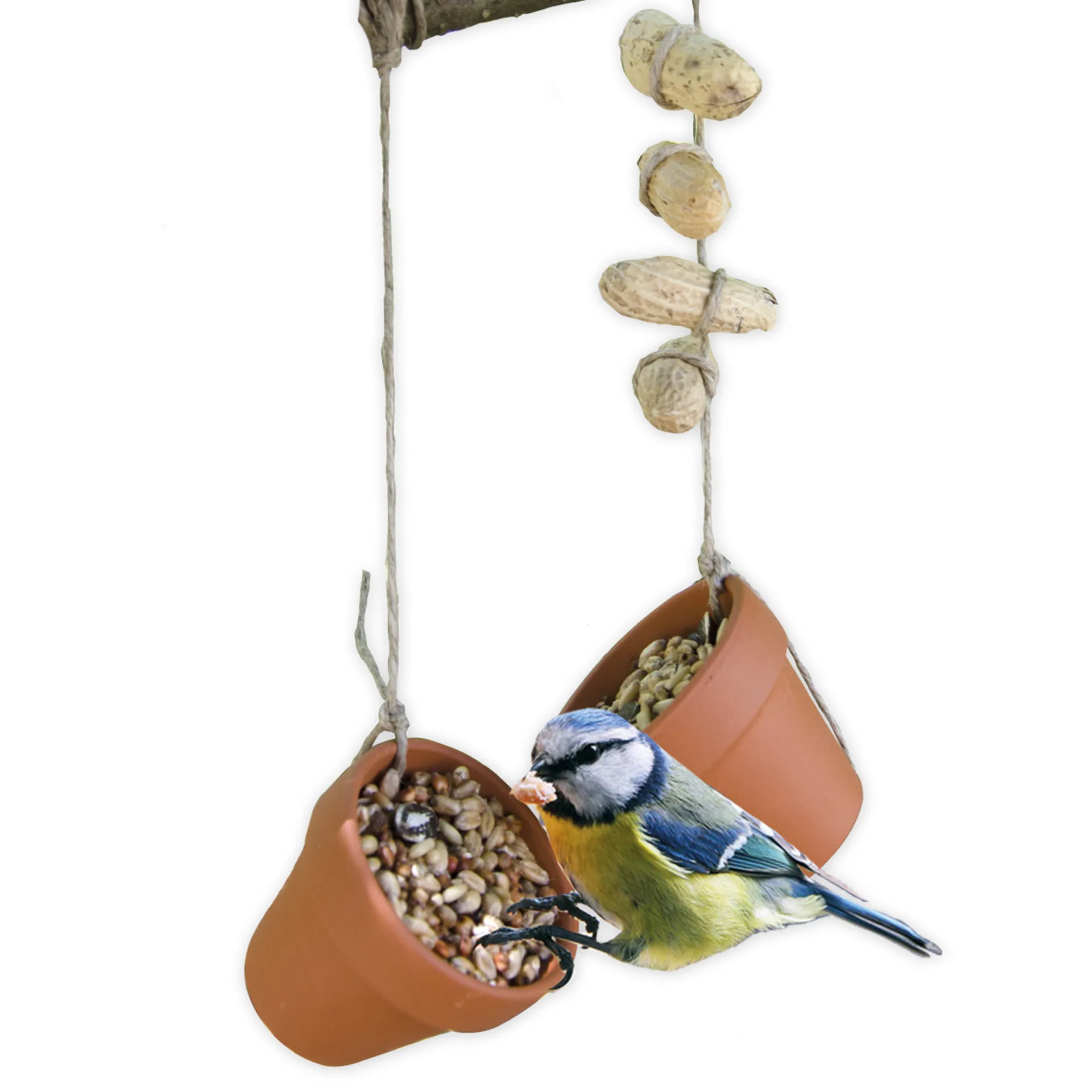 Vogelfutter Bastelset (Klassensatz)