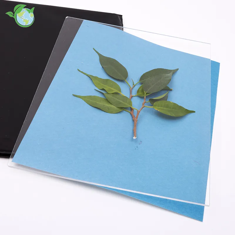 Foto-Solarpapier mit Fixierscheibe (40 Blatt 17,8 x 12,7 cm)