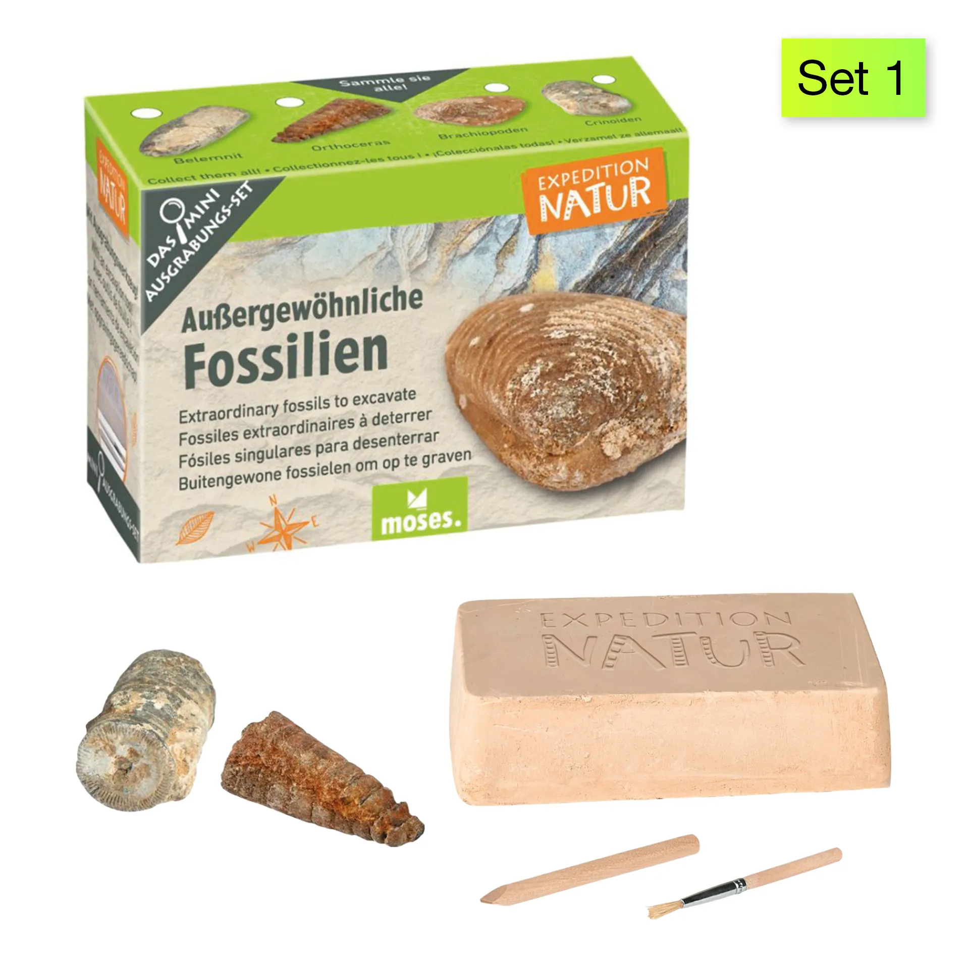 Ausgrabungs-Set "Schatzsuche", klein