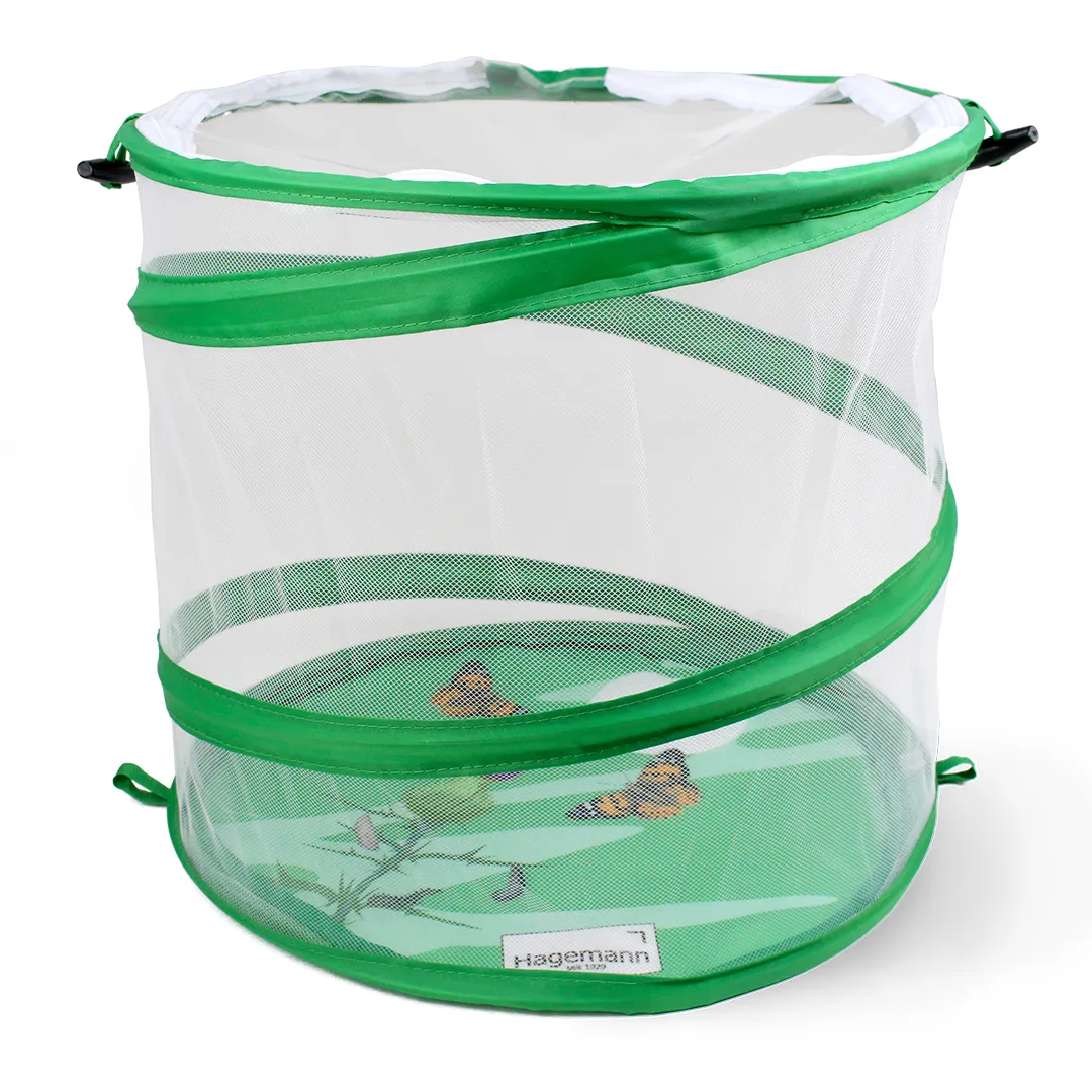 Hagemann Gruppenprojektset Marienkäfer (30-45 Larven)