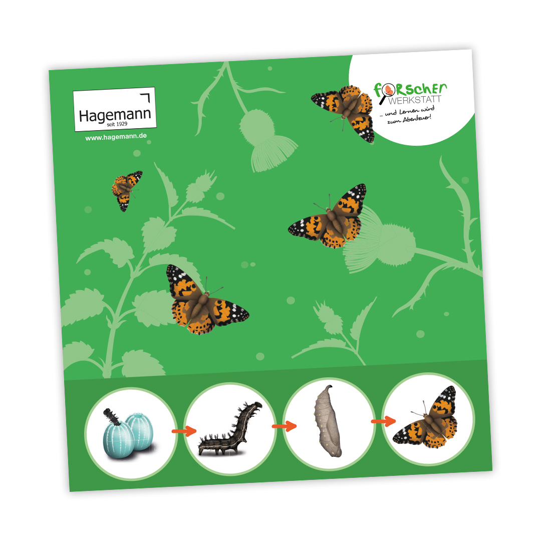 Hagemann Schmetterlings-Villa mit Panoramafenster