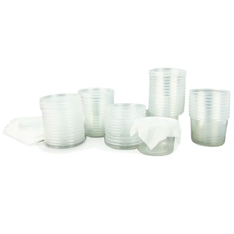 Hagemann Klassenprojektset Schmetterlinge (30-35 Raupen)