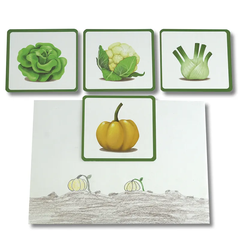 Bildkarten Gemüse, 24-tlg.