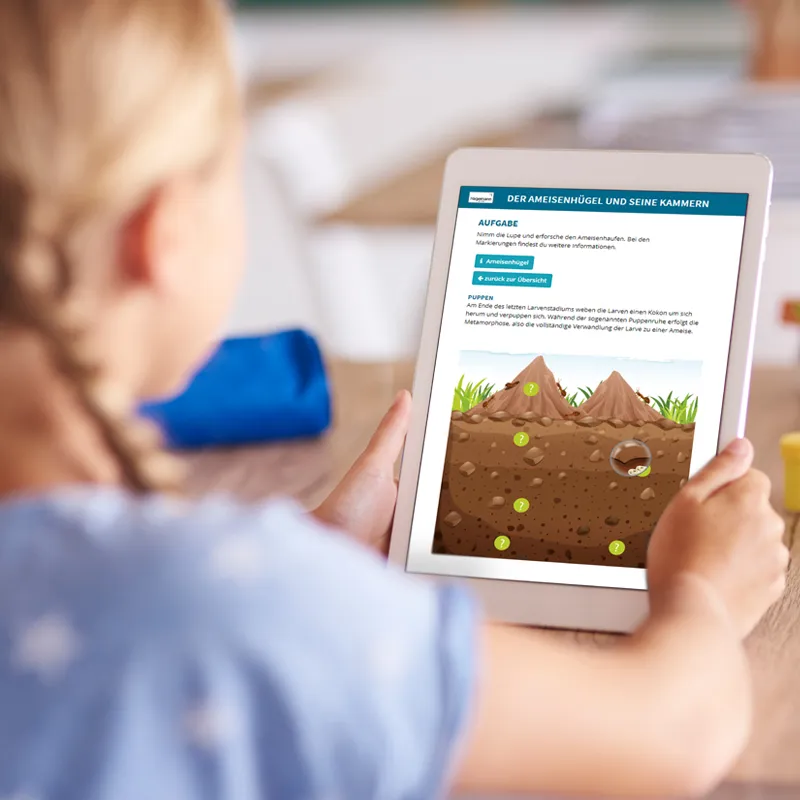 Hagemann Magnetbilder Leben und Lebenszyklus der Ameise
