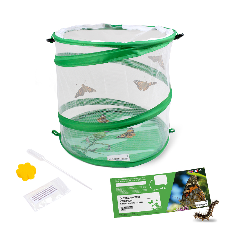 Hagemann Schmetterlings-Zuchtset, Starter (mit Gutschein, 5 Raupen)