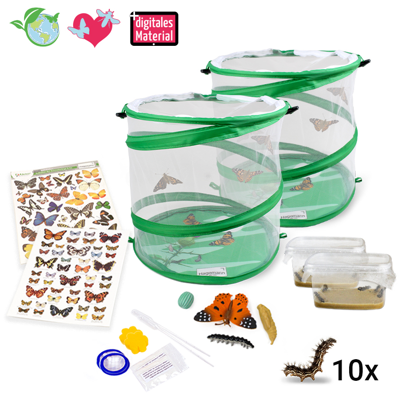 Hagemann Schmetterlings-Zuchtset, groß (10 Raupen)