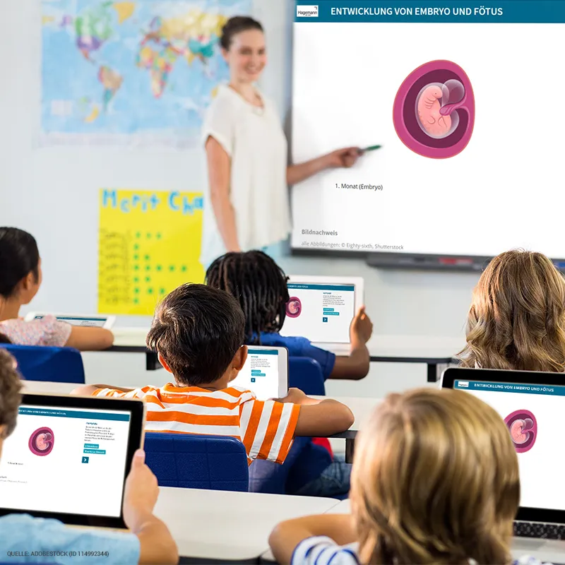 Hagemann Magnetbilder – Wie ein Kind entsteht