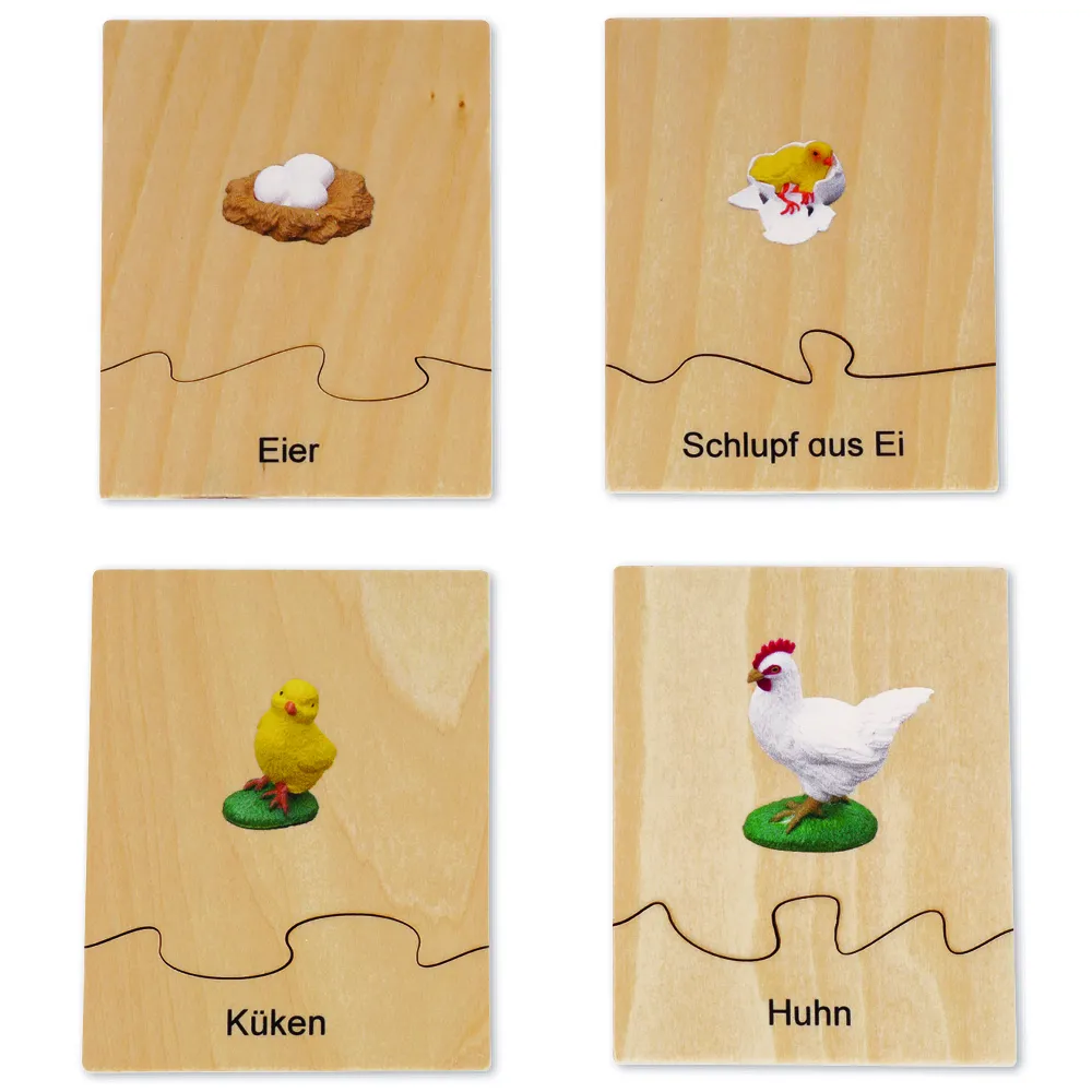 TimeTEX Lebenszyklus eines Huhns, in Holzbox "Montessori Premium"