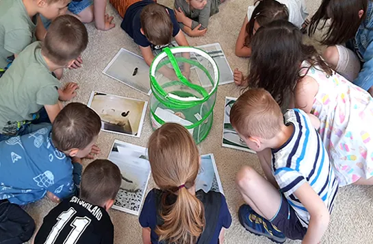 Kinder beobachten Aufzucht-Voliere für Schmetterlinge