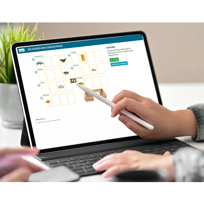 Hagemann Flipchart-Spiel Lebenszyklus Schmetterlinge, Bienen & Co