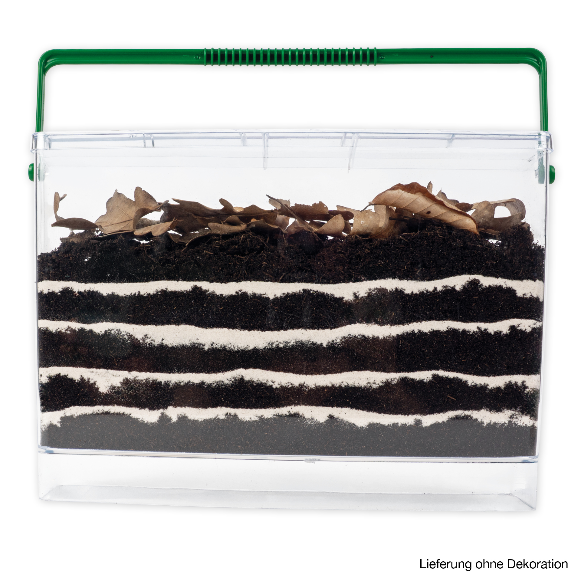 Hagemann Regenwurm Beobachtungsset, 8-tlg.