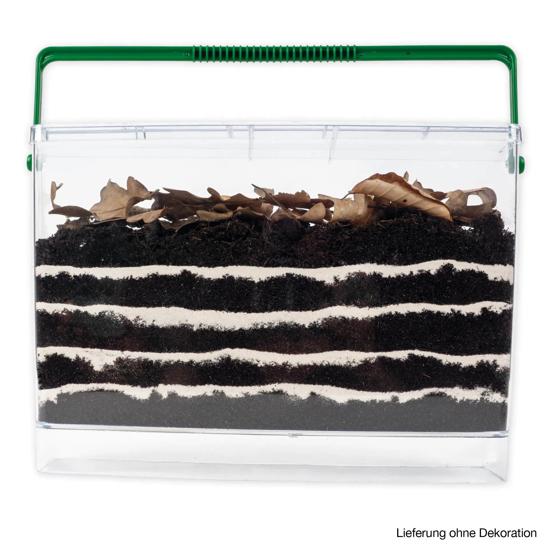 Hagemann Regenwurm Beobachtungsset, 8-tlg.