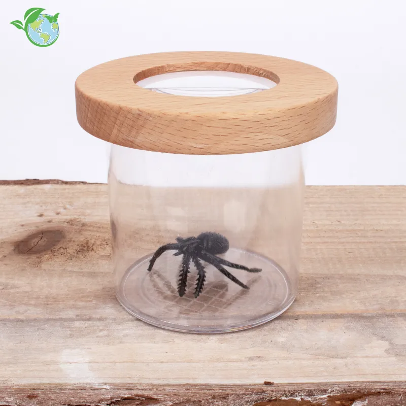 Hagemann Holz-Lupendose Natur & Digital