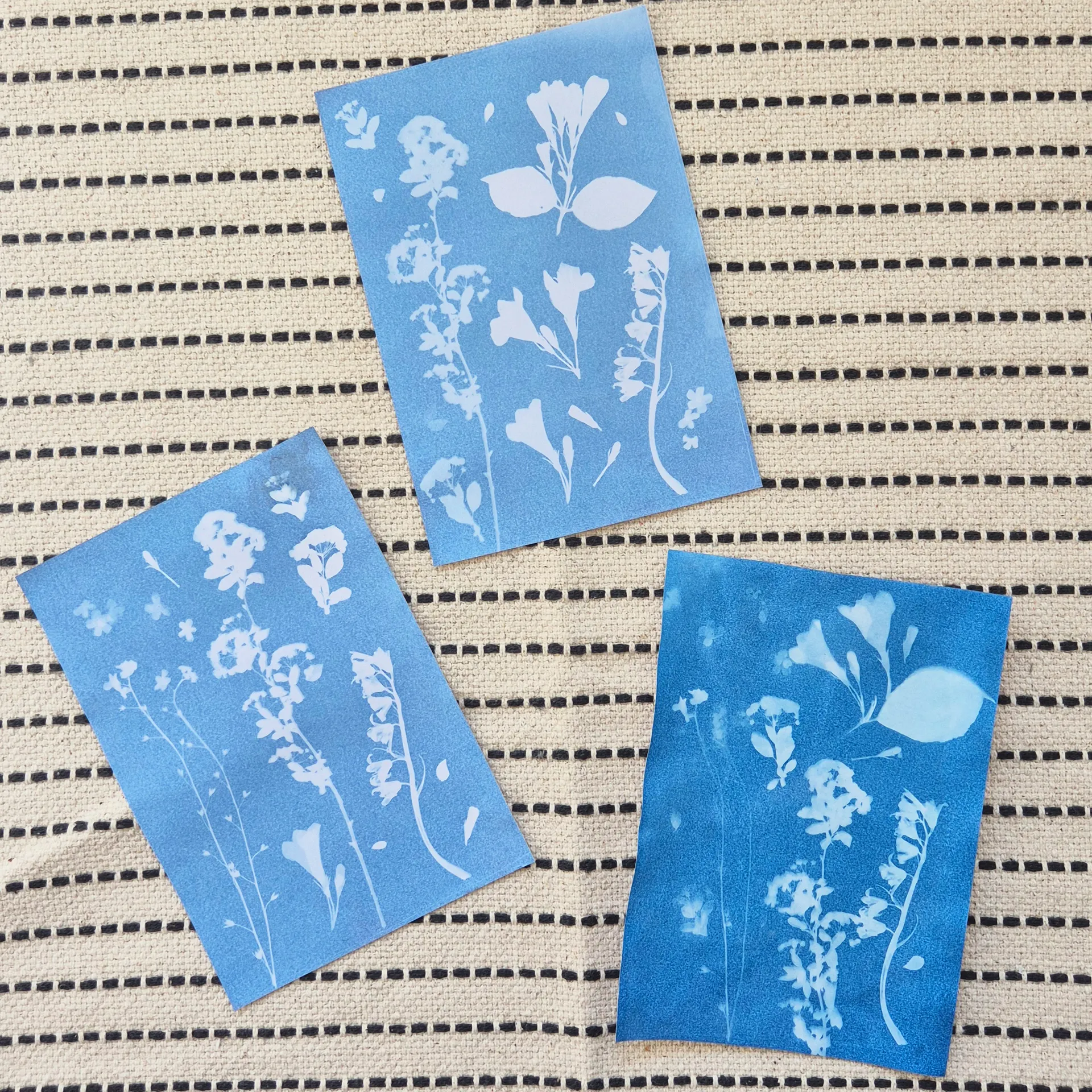 Foto-Solarpapier DIN A 5 mit Fixierscheibe, 10 Blatt