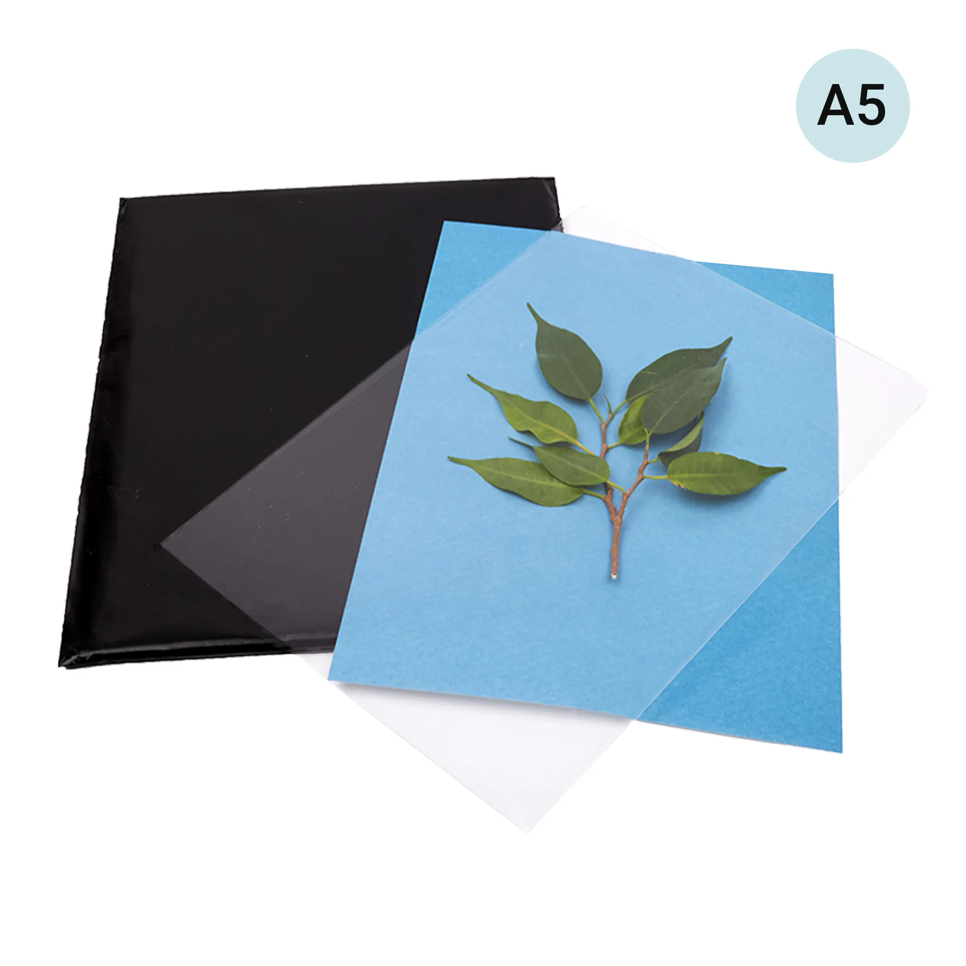 Hagemann Foto-Solarpapier mit Fixierscheibe, A5, 20 Blatt