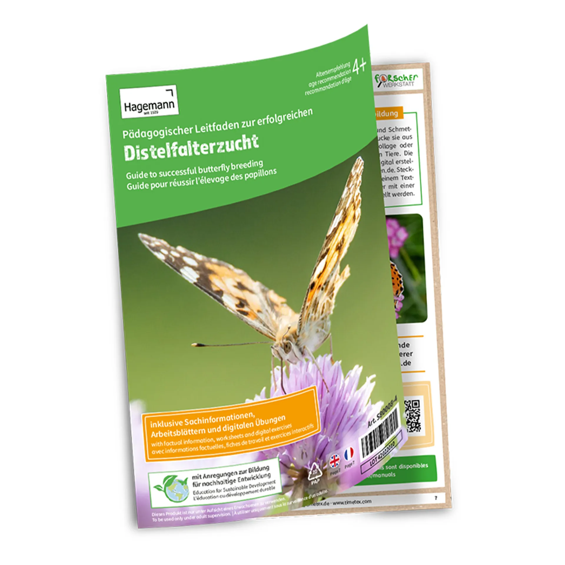 Hagemann Gruppenprojektset Schmetterlinge, Starter (15-21 Raupen)