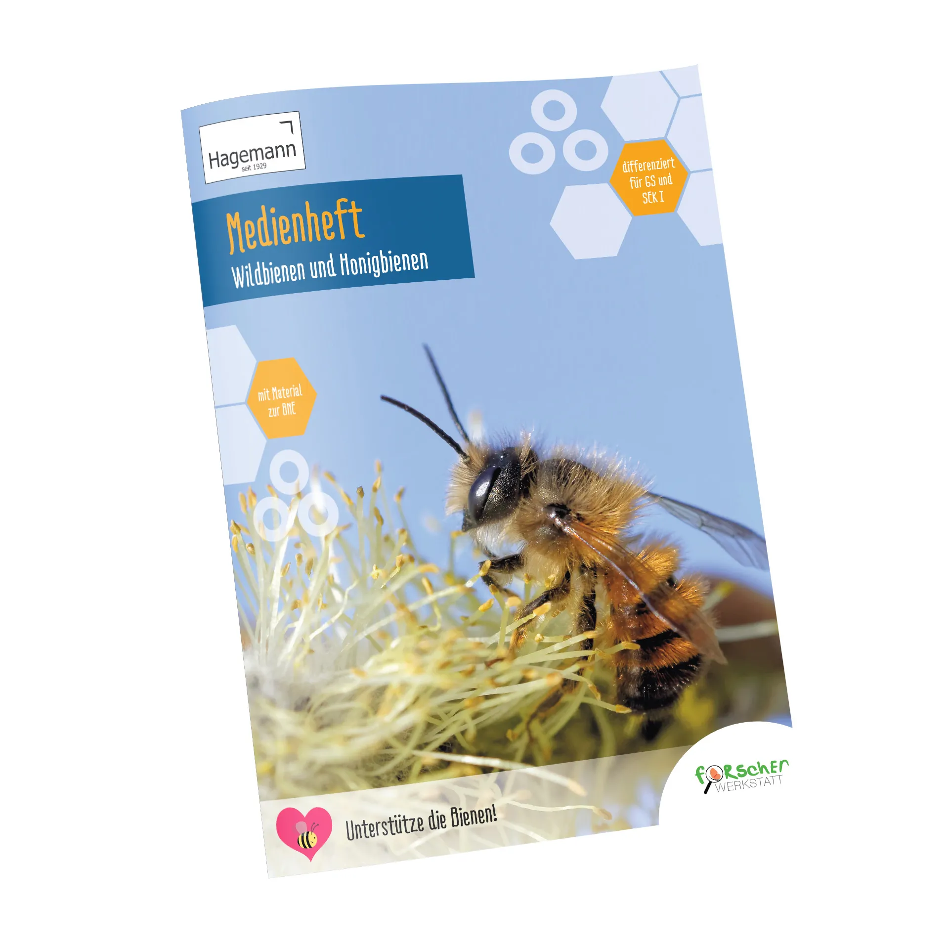 Medienheft Wildbienen und Honigbienen