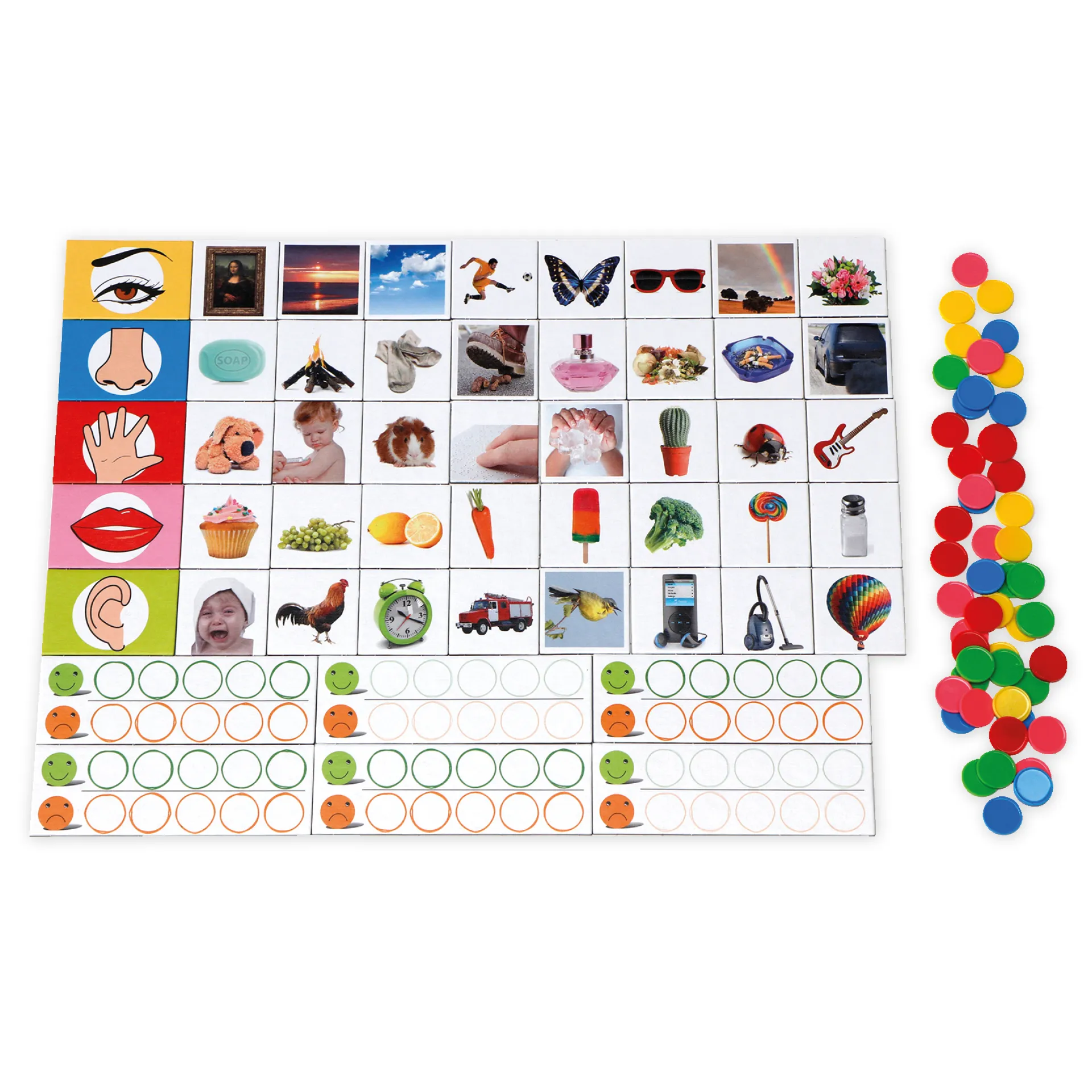 Lernspiel "Wecke deine Sinne", 101-tlg.