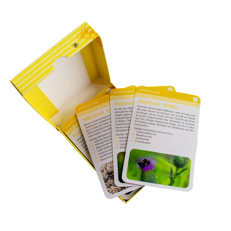 50 Ideenkarten Insektenglück
