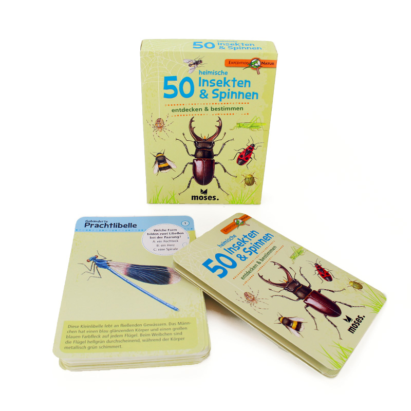 50 heimische Insekten & Spinnen