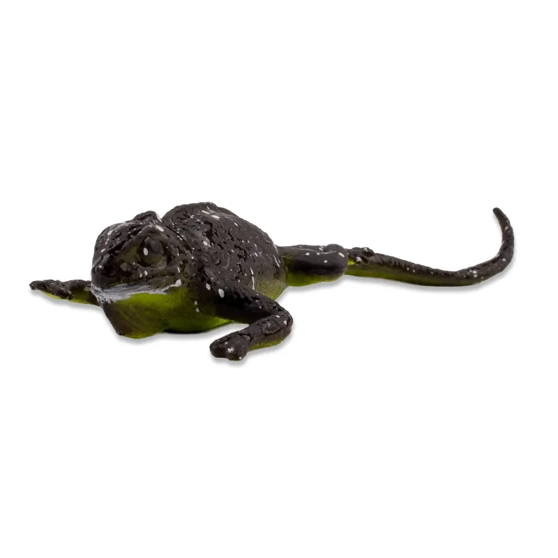 Farbwechselnde Eidechse