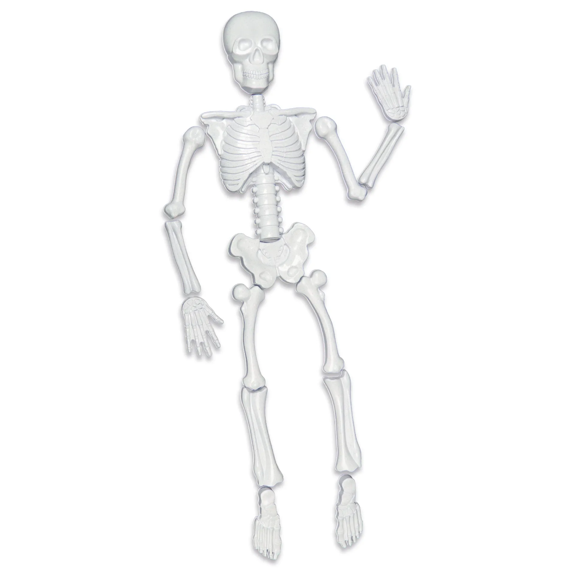 Sandkastenformen Skelett, 15-tlg.