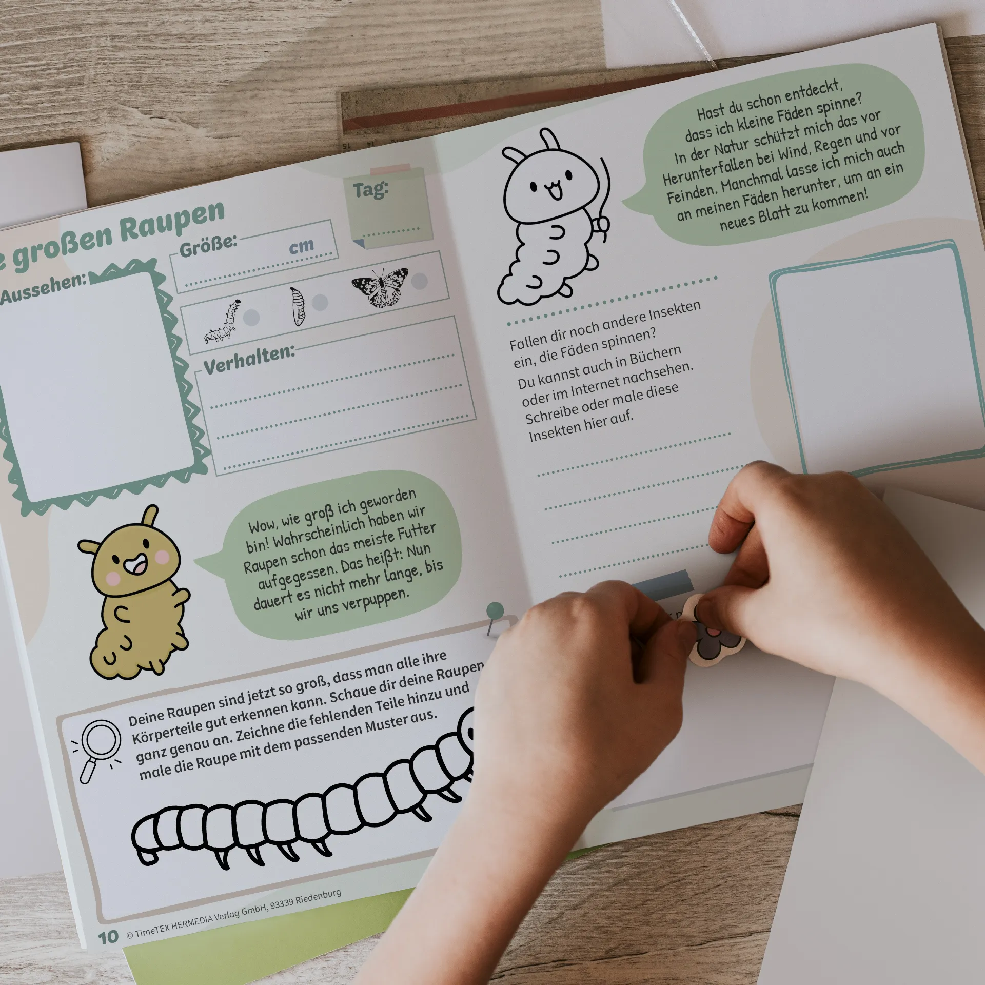 Hagemann Schmetterlings-Tagebuch