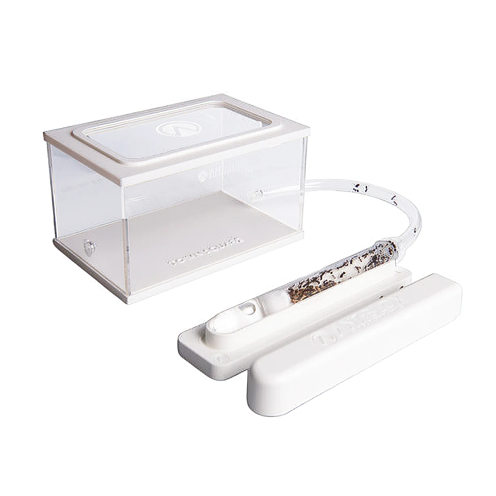 Hagemann Zuchtset Ameisen