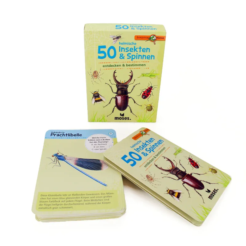 50 heimische Insekten & Spinnen