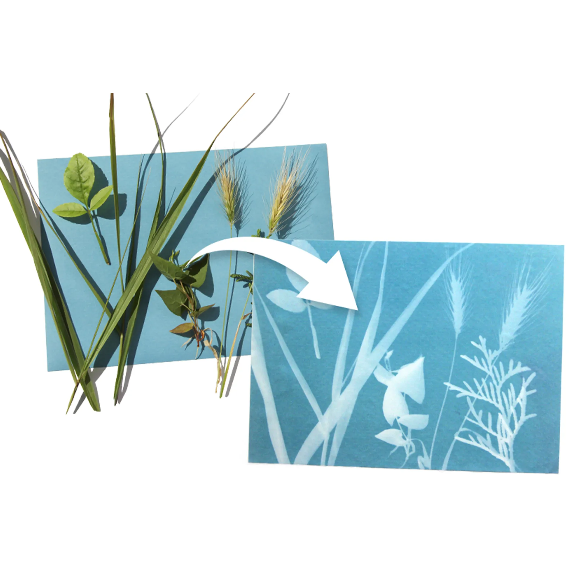 Foto-Solarpapier DIN A 5 mit Fixierscheibe, 10 Blatt