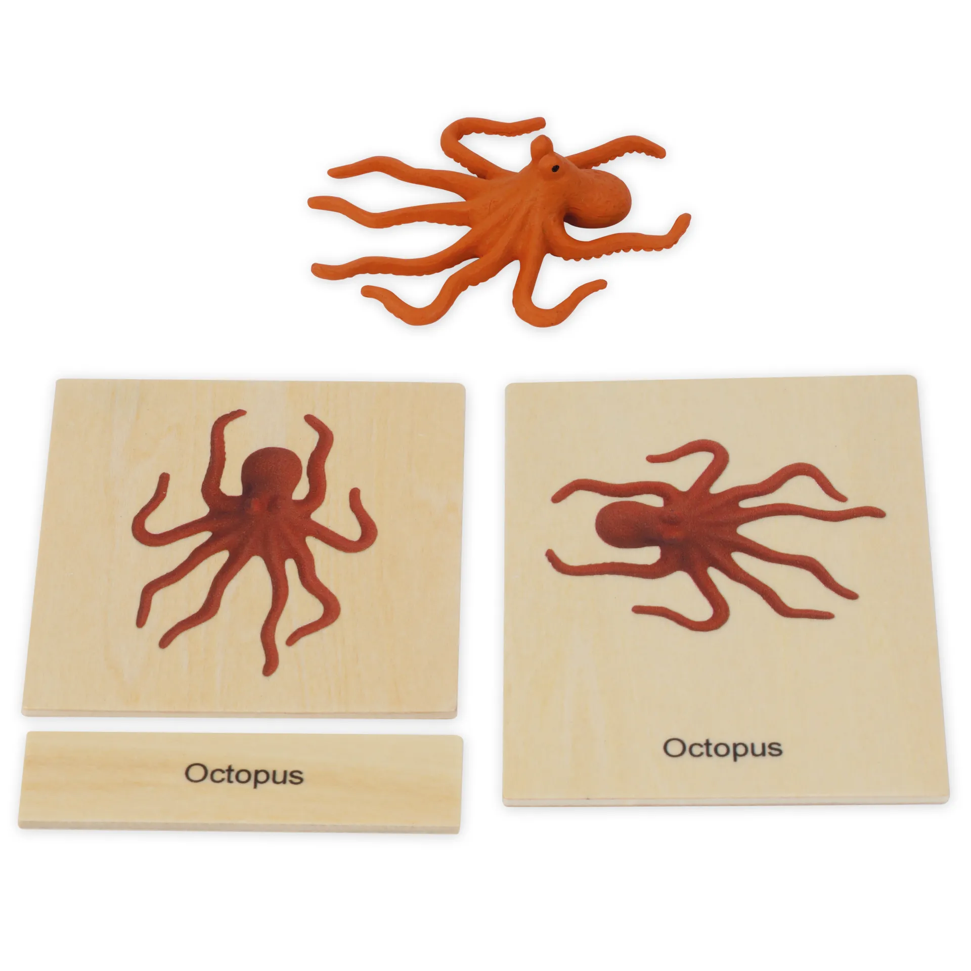 TimeTEX Mini-Meerestiere-Set "Montessori Premium"