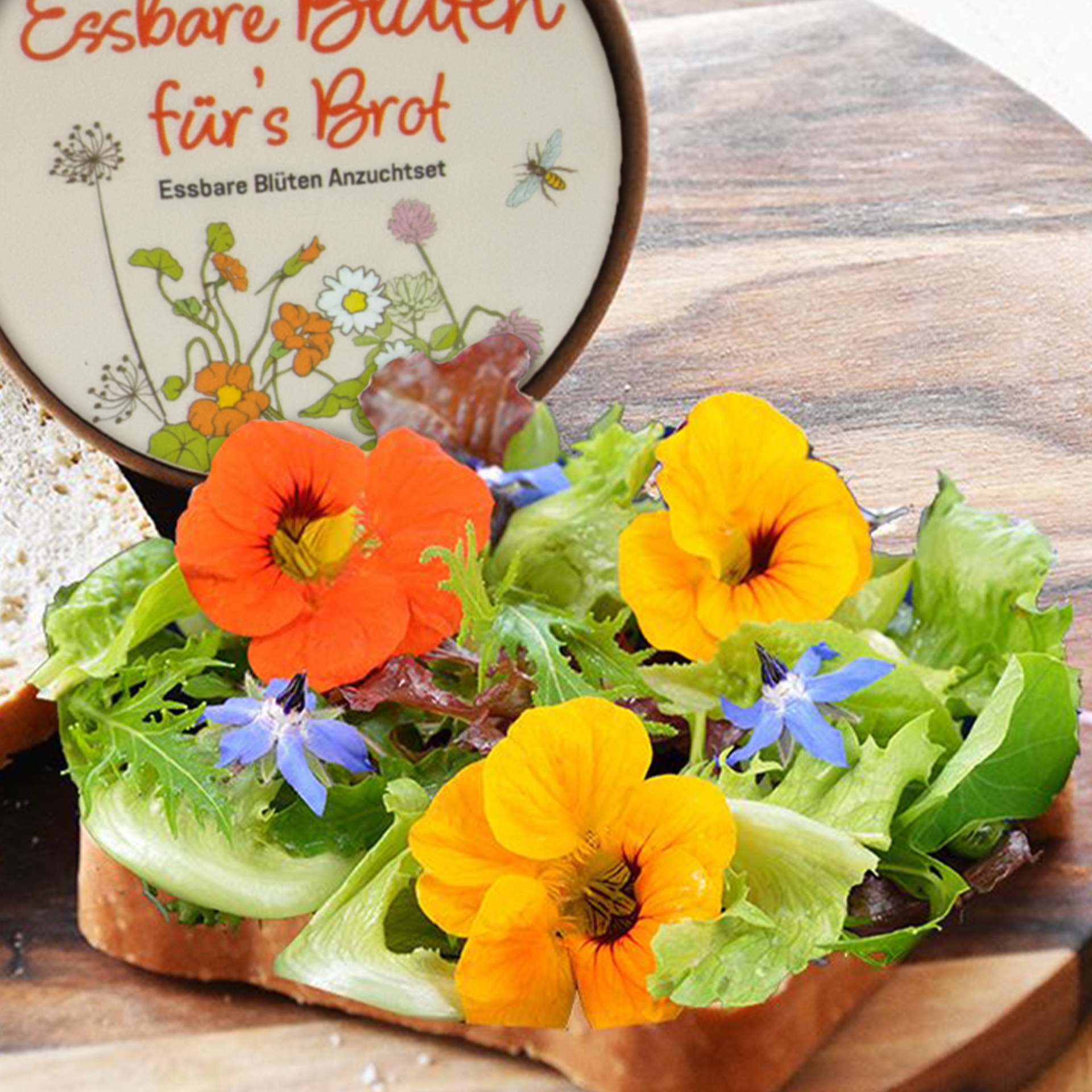 Zuchtset Butterbrot-Blüten