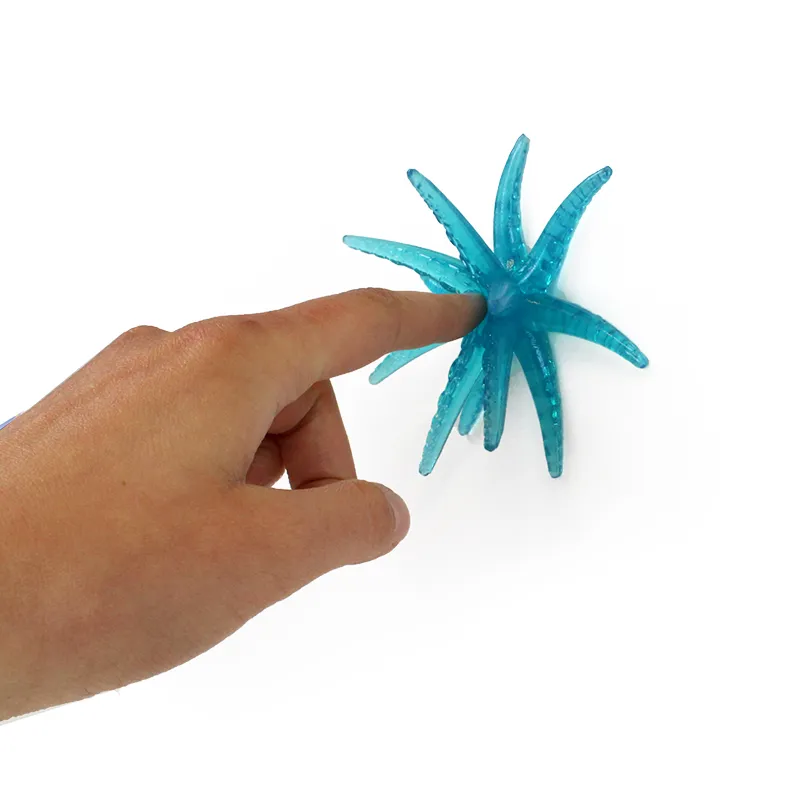 Fensterkrabbler Seestern