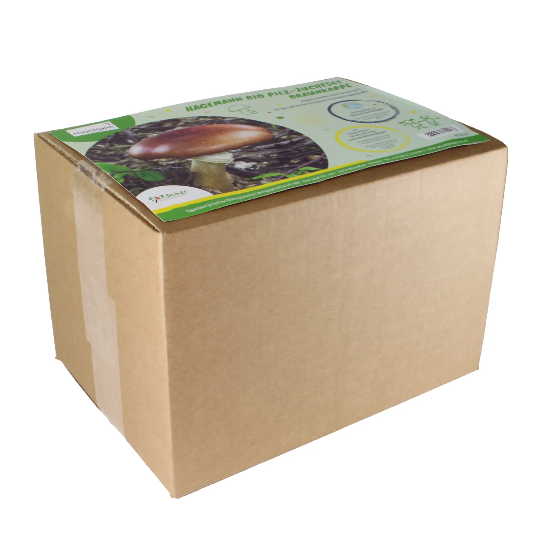 Hagemann Pilz-Zuchtset Braunkappe