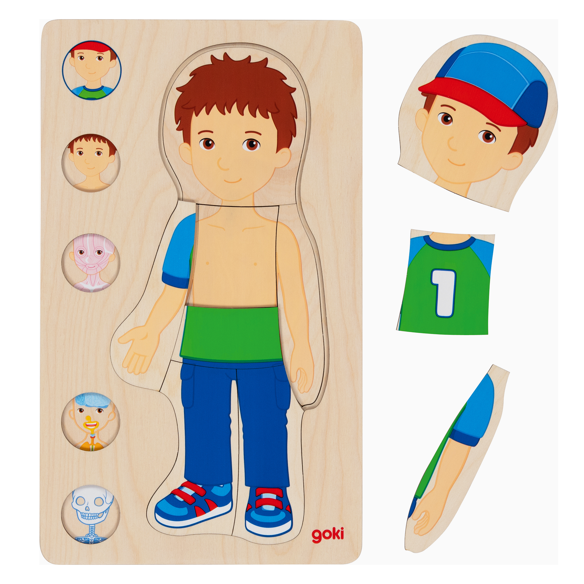 Schichtenpuzzle Anatomie Junge