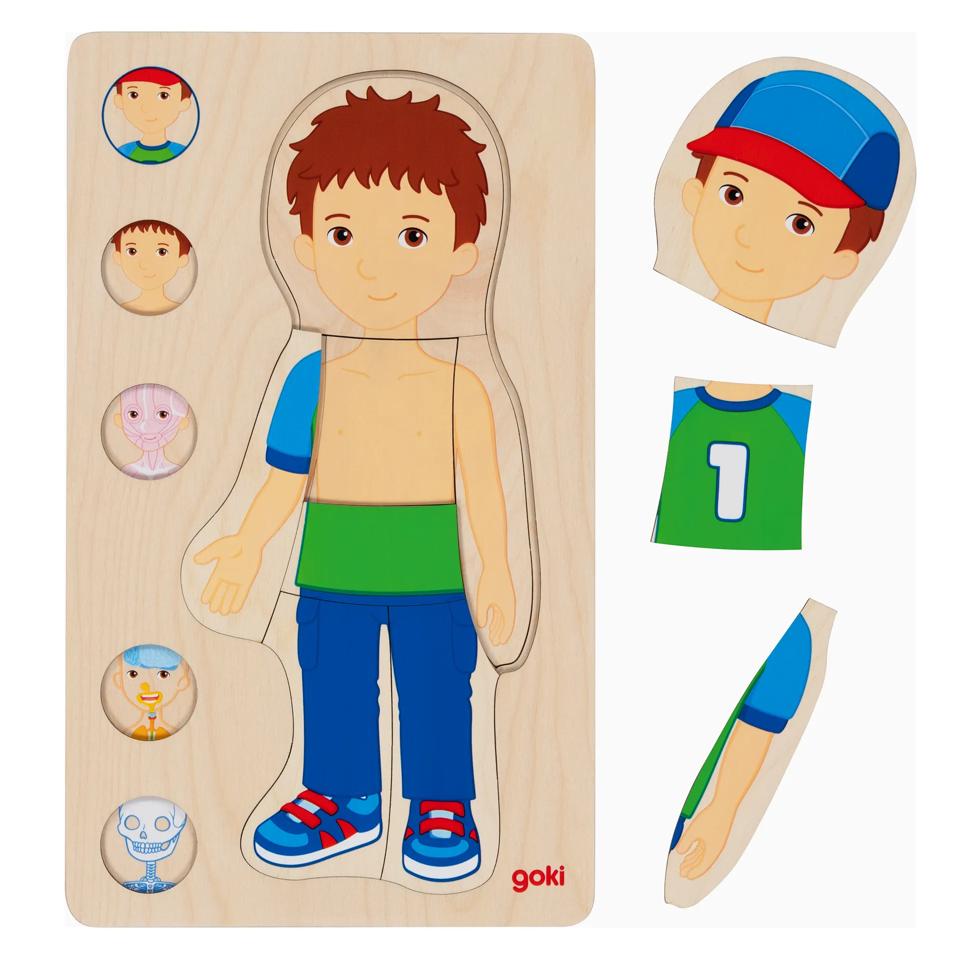 Schichtenpuzzle Anatomie Junge