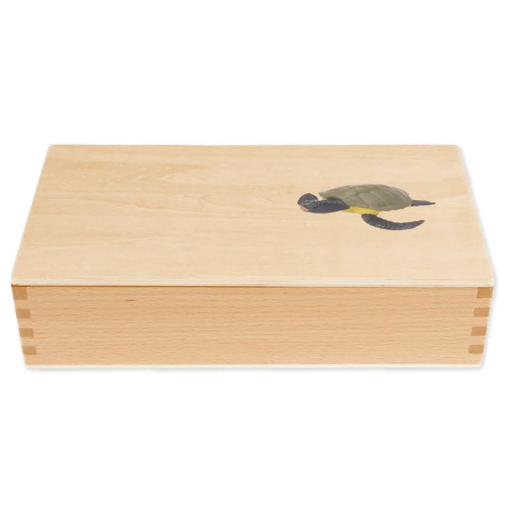 TimeTEX Lebenszyklus einer Schildkröte, in Holzbox "Montessori Premium"