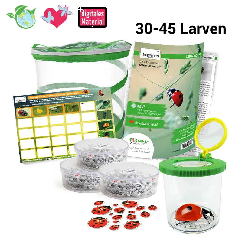 Hagemann Gruppenprojektset Marienkäfer (30-45 Larven)