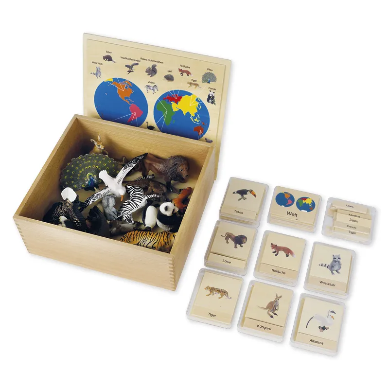 TimeTEX Tier-Kontinent-Box "Montessori Premium"