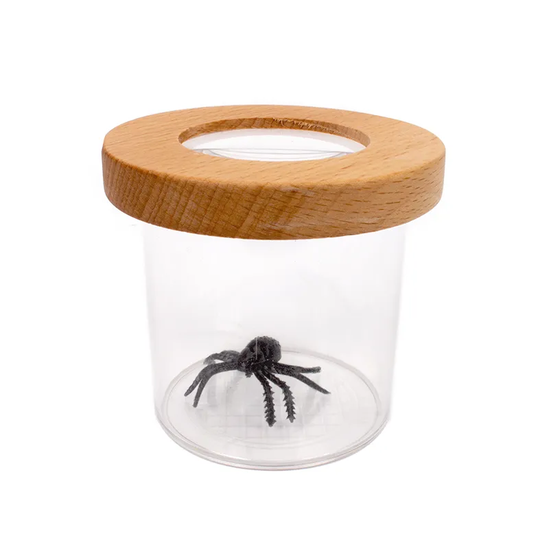 Hagemann Holz-Lupendose Natur & Digital