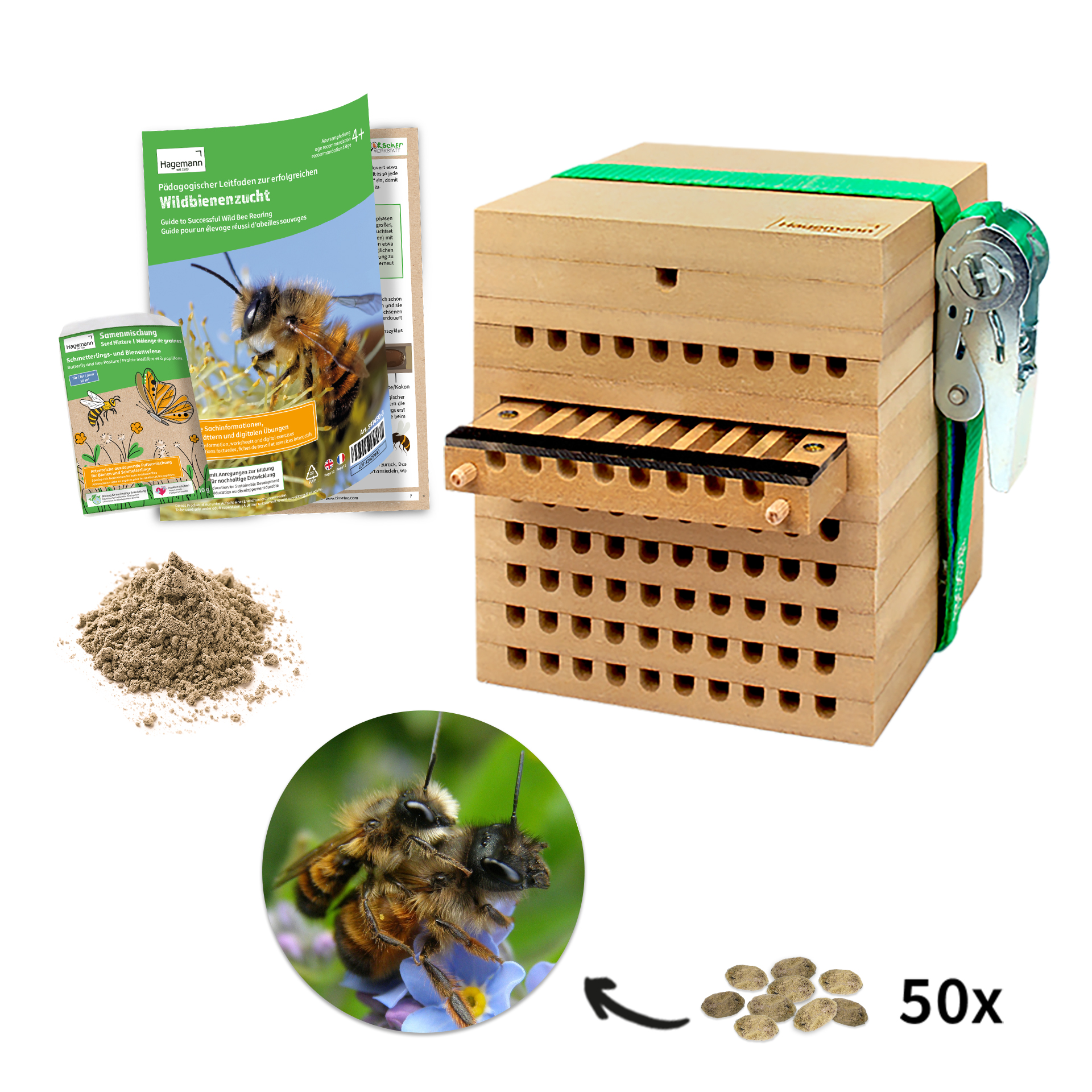 Hagemann Zuchtset Wildbienen, Gehörnte Mauerbiene (mit 50 Kokons)