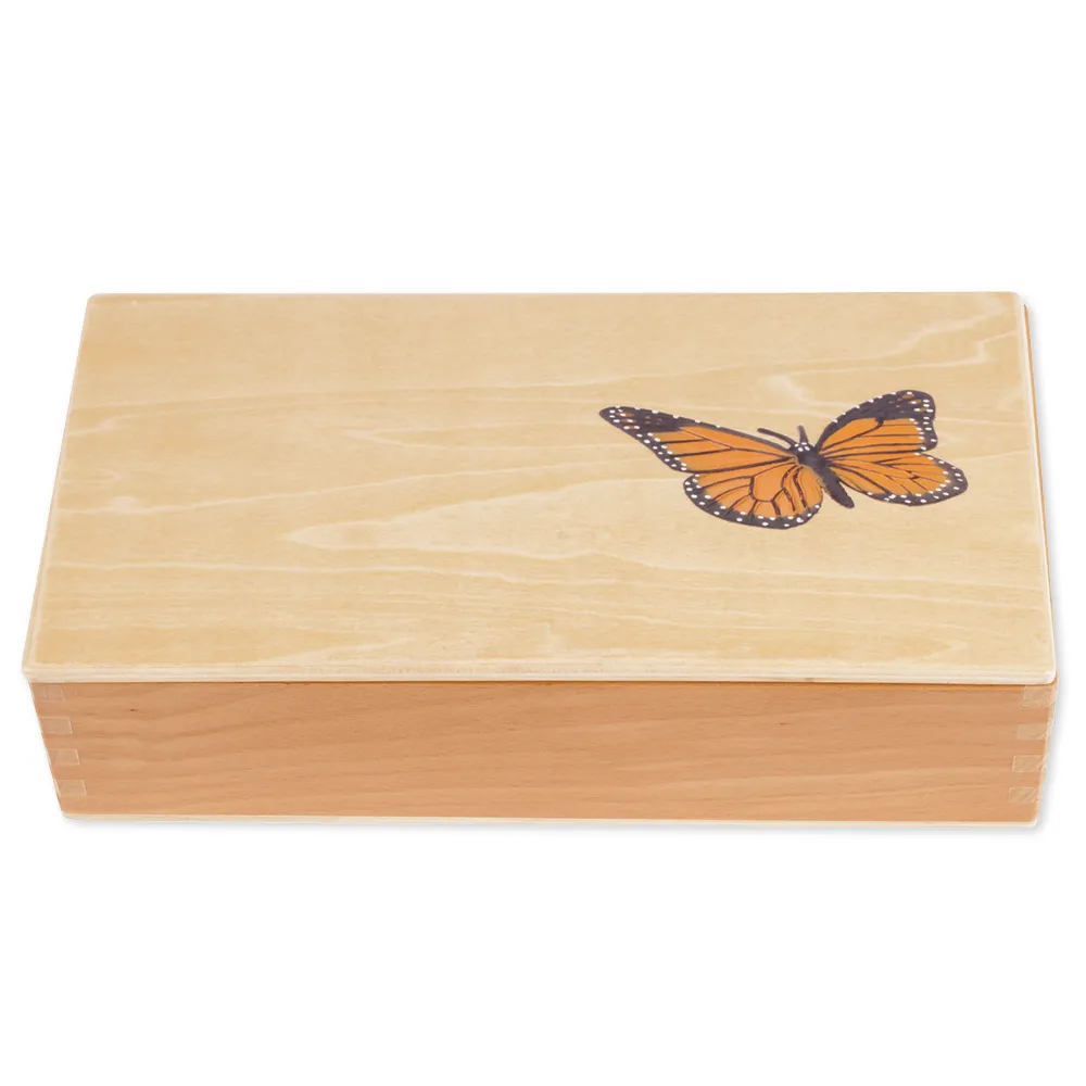 TimeTEX Lebenszyklus eines Schmetterlings, in Holzbox "Montessori Premium"