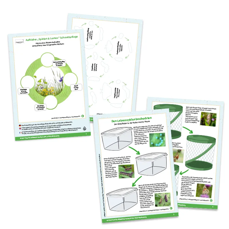 Aufkleber „Spielen und Lernen“ Schmetterlinge, 227-tlg.