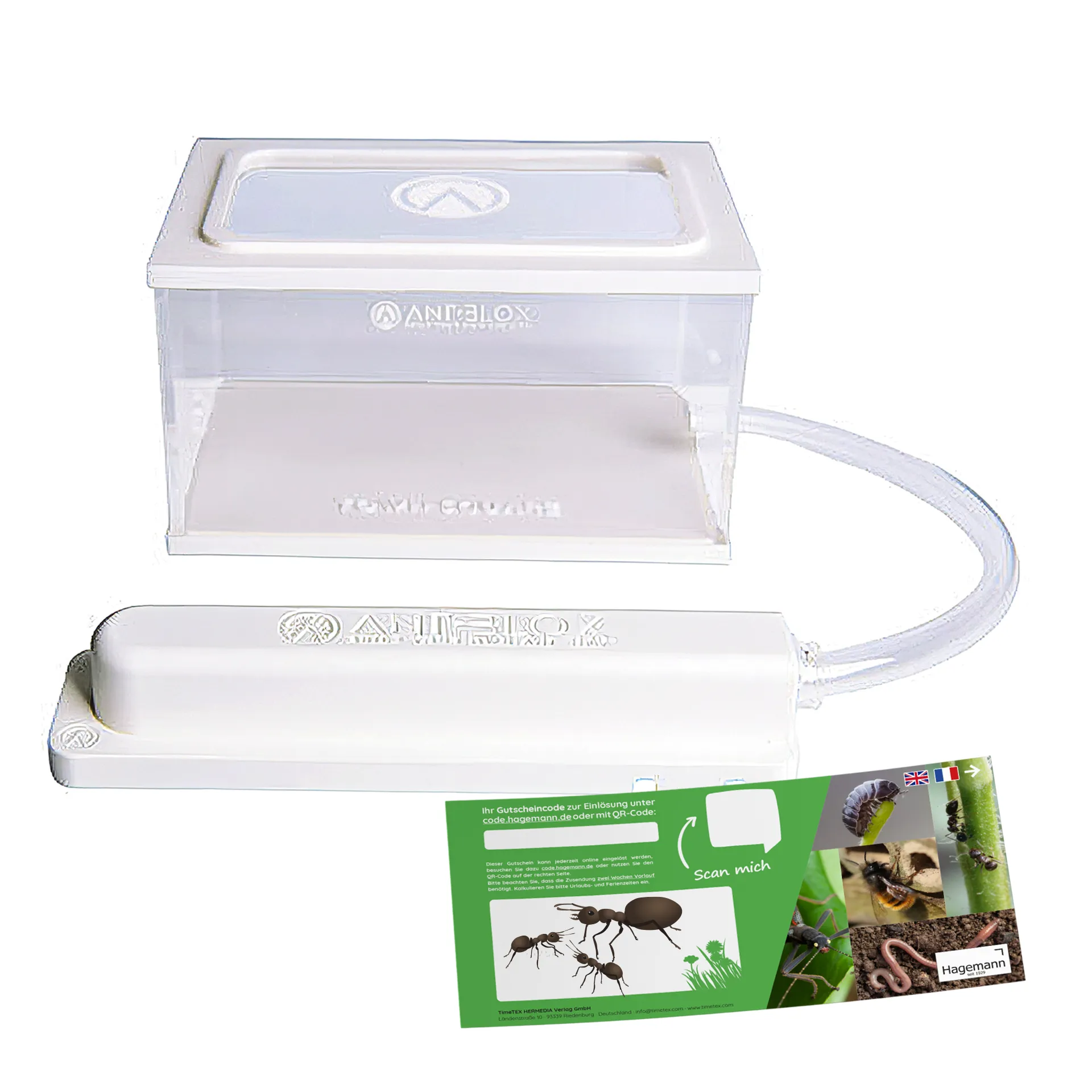Hagemann Zuchtset Ameisen (mit Gutschein für Ameisenstaat)