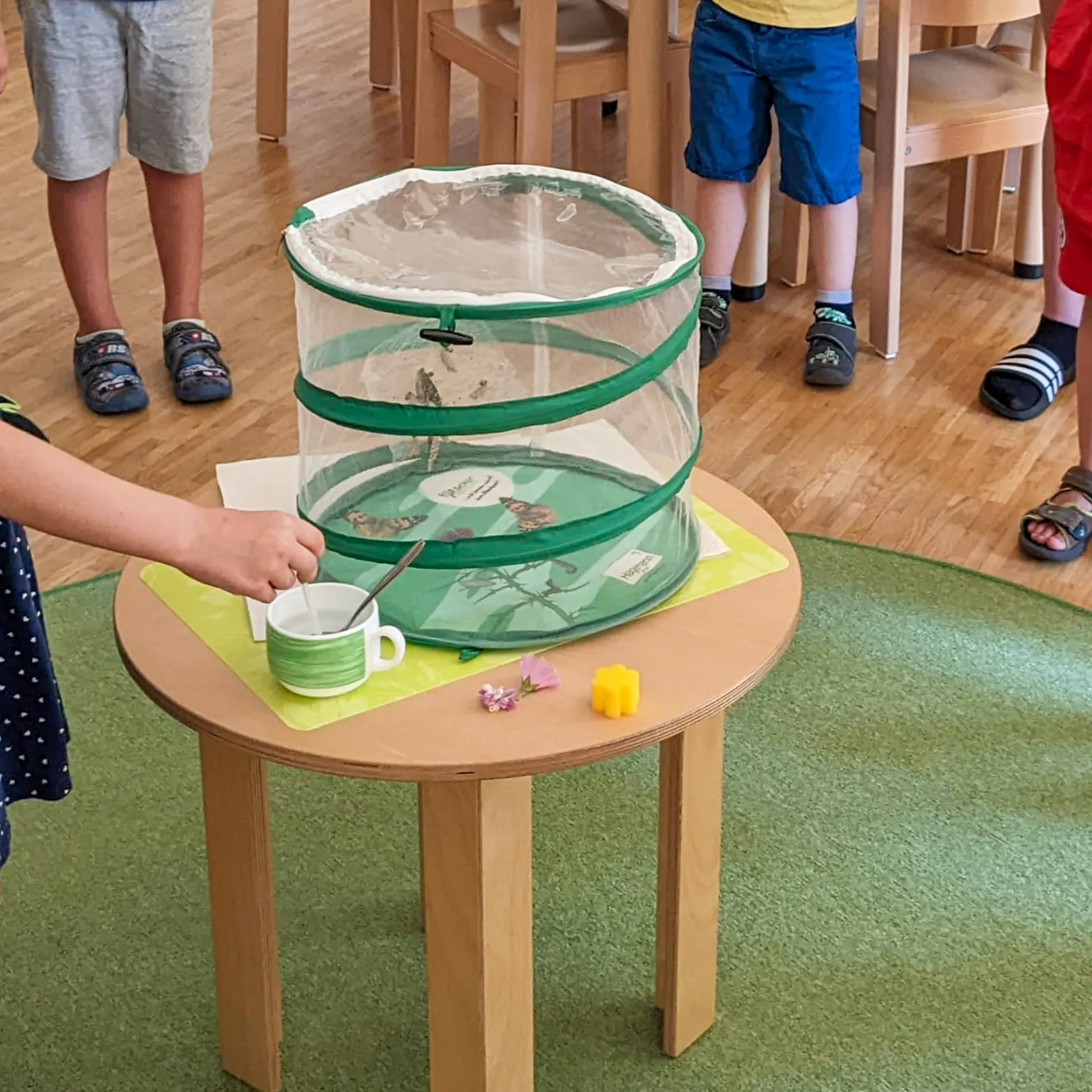 Klassenprojektset Tiere züchten und beobachten
