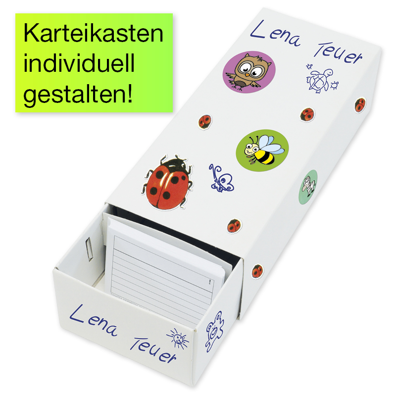 Lernkartei-Kasten A8 Pappe mit 100 Lernkärtchen